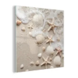 Schelpen - Zeesterren - Strand plexiglas 5mm klein -z3d