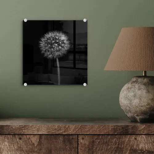Paardenbloem - Zwart - Bloemen - Botanisch plexiglas 5mm klein -sfeer3