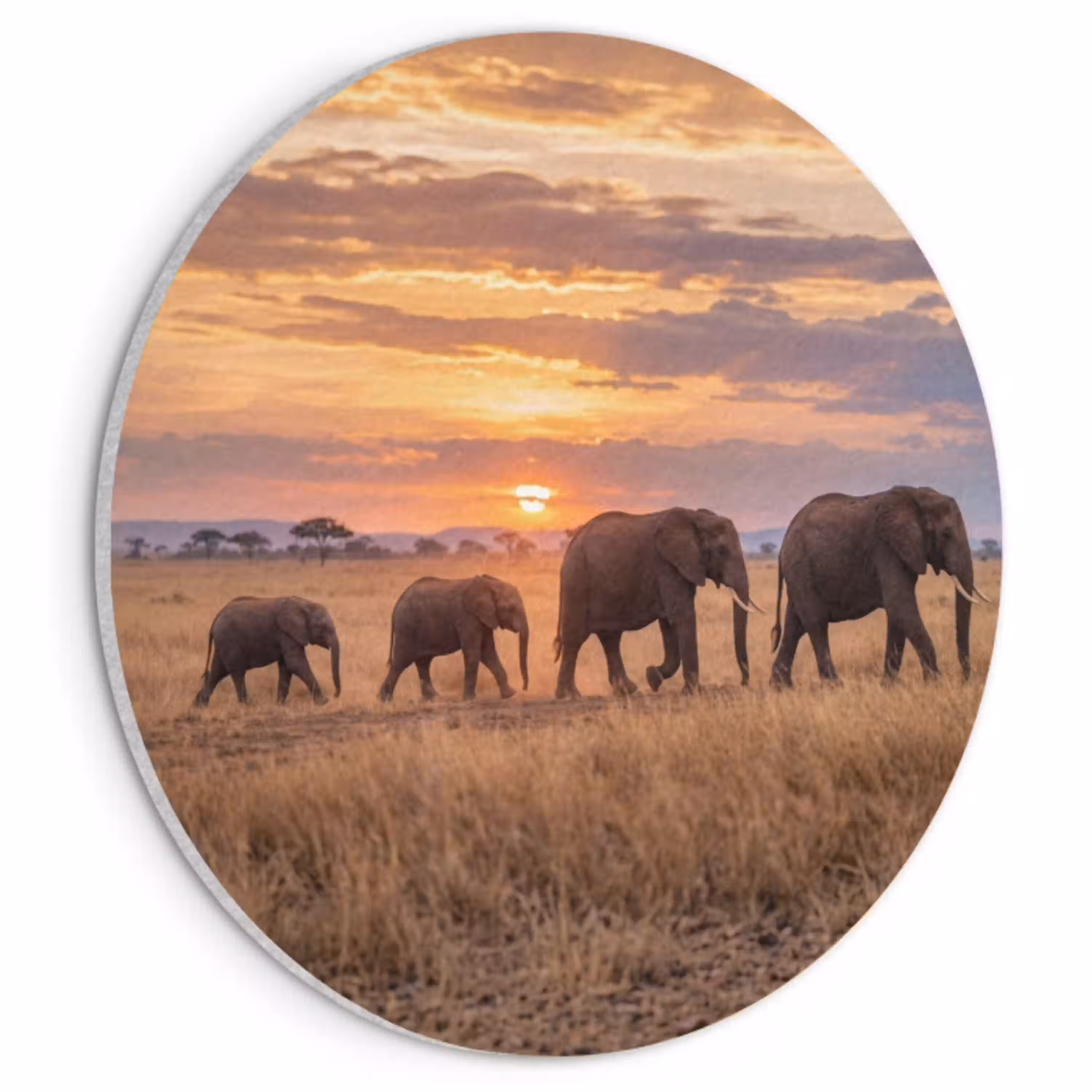 Olifanten - Savanne - Zonsondergang - Afrika - Warm Akoestische PET Vilt - Rond klein -3d