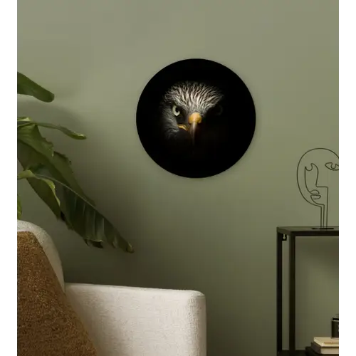 Vogel - Adelaar - Roofvogels - Oog - Snavel - Licht Wandcirkel kunststof plaat 5mm dik klein -sfeer3