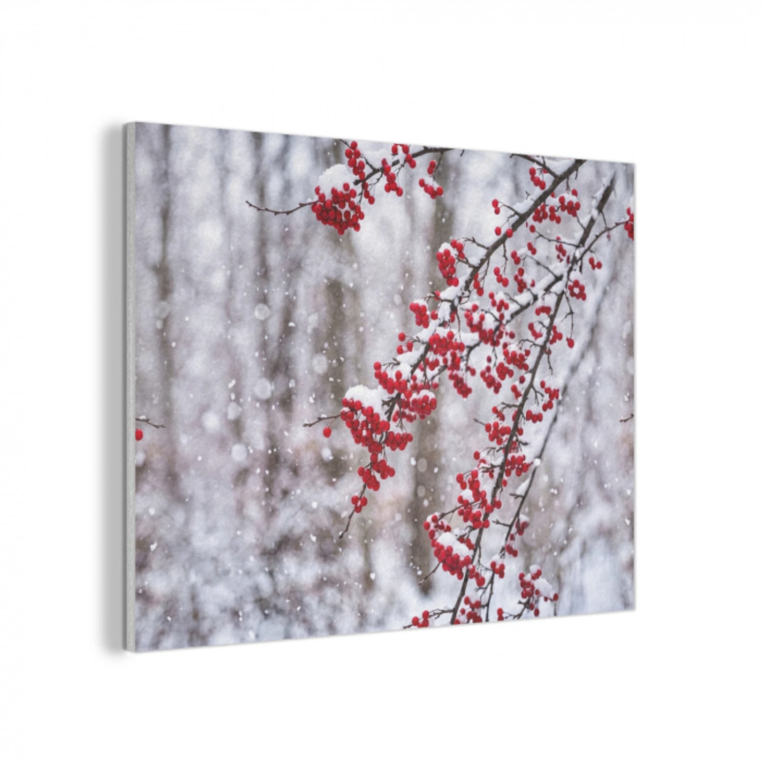 Bessen - Takken - Sneeuw - Winter - Kleurrijk PET vilt klein -3d