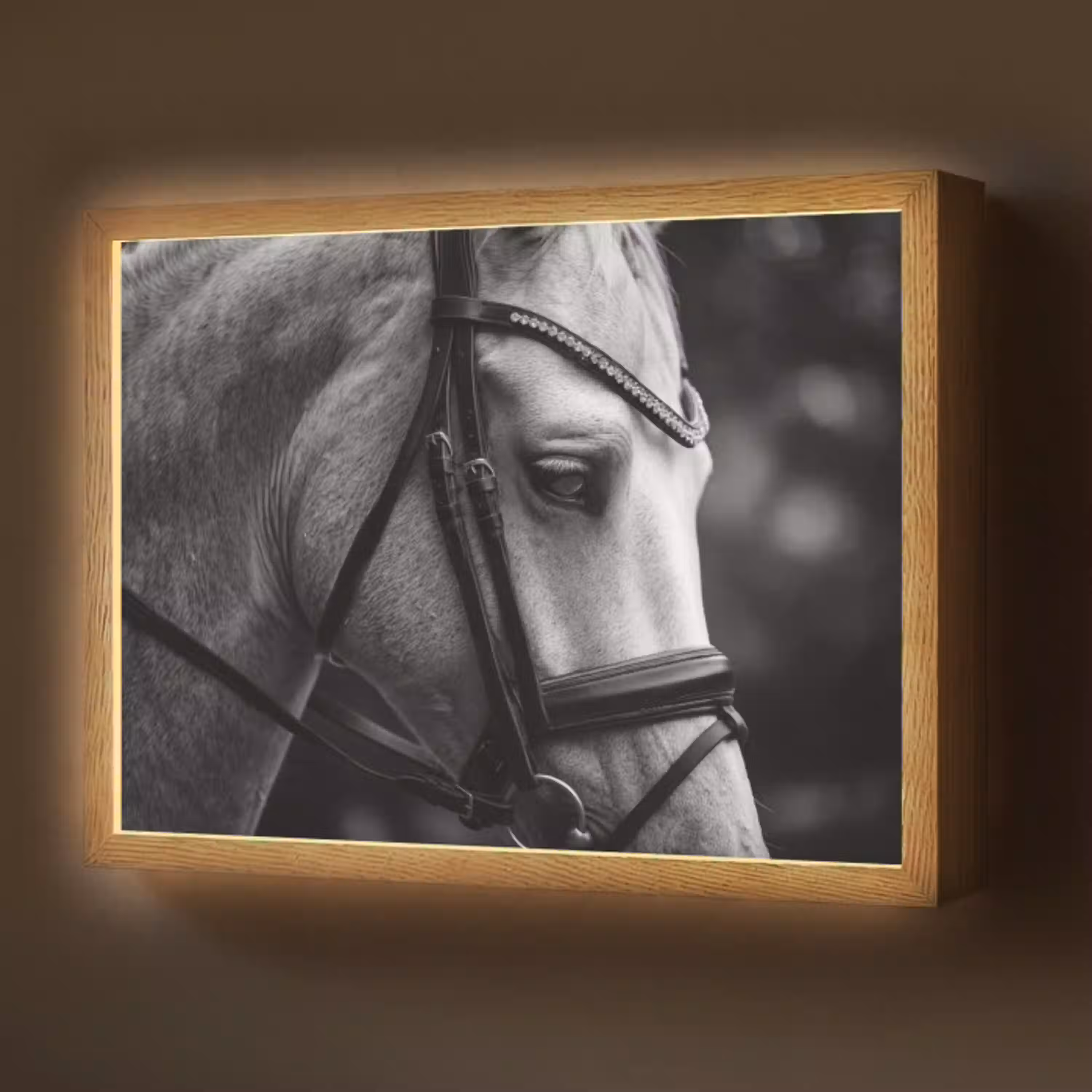 Paard - Schimmel - Portret Light Box met batterij (Wandlamp) middel -z3d_website