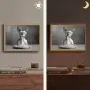 Sphynx - Kat - Dieren - Humor - Spaghetti - Zwart Wit Light Box met batterij (Wandlamp) middel -sfeer3