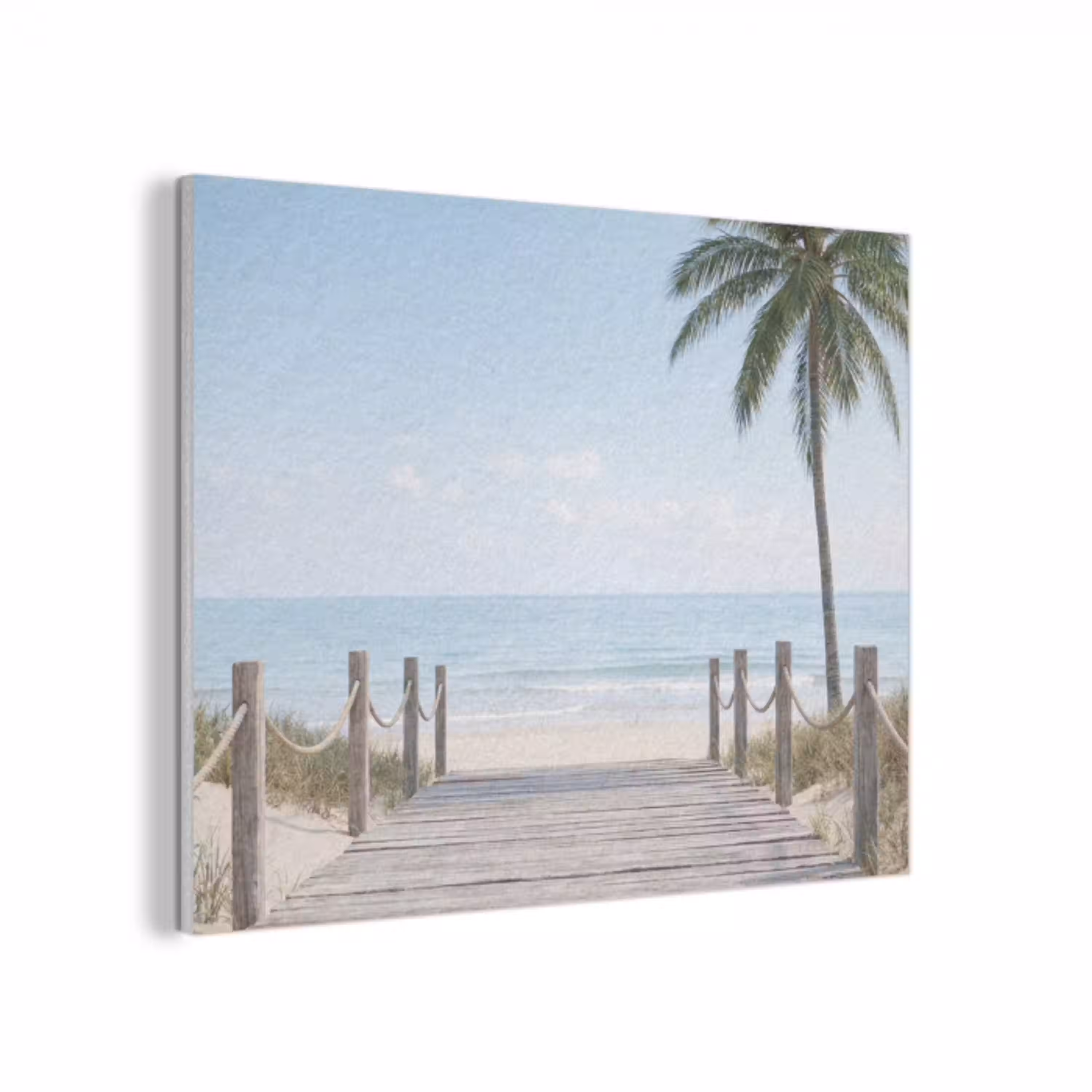 Palmbomen - Pad - Horizon PET vilt klein -3d