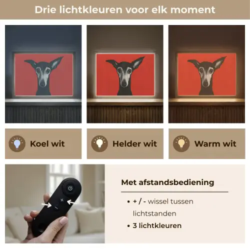 Windhond - Minimalistisch - Rood Light Box met batterij (Wandlamp) middel -USP_lichtkleurNL