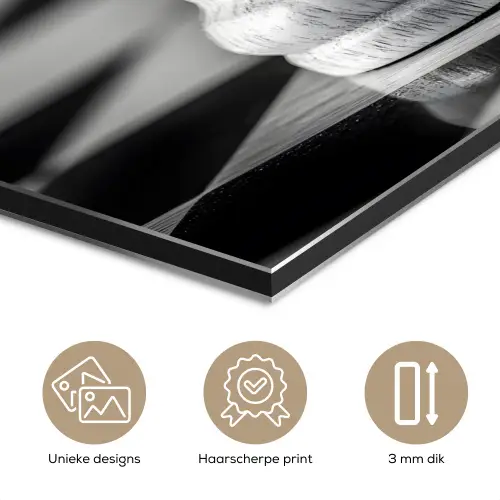 Paard - Hout - Schaalbord - Zwart aluminium wit klein -closeup_NL