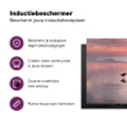 Meeuwen - Strand - Zee - Roze Inductie beschermer vinyl 3mm klein -zzzzzzz-cc-usp