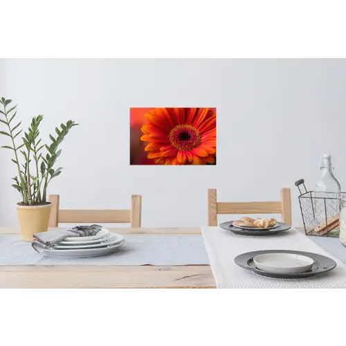 Oranje - Gerbera - Intens Muursticker klein -eettafel