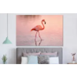 Flamingo - Water - Roze forex 5mm xxl -slaapkamer