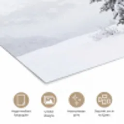 Fijnsparren - Sneeuw - Winter - Landschap - Stilte poster papier klein -closeup_NL