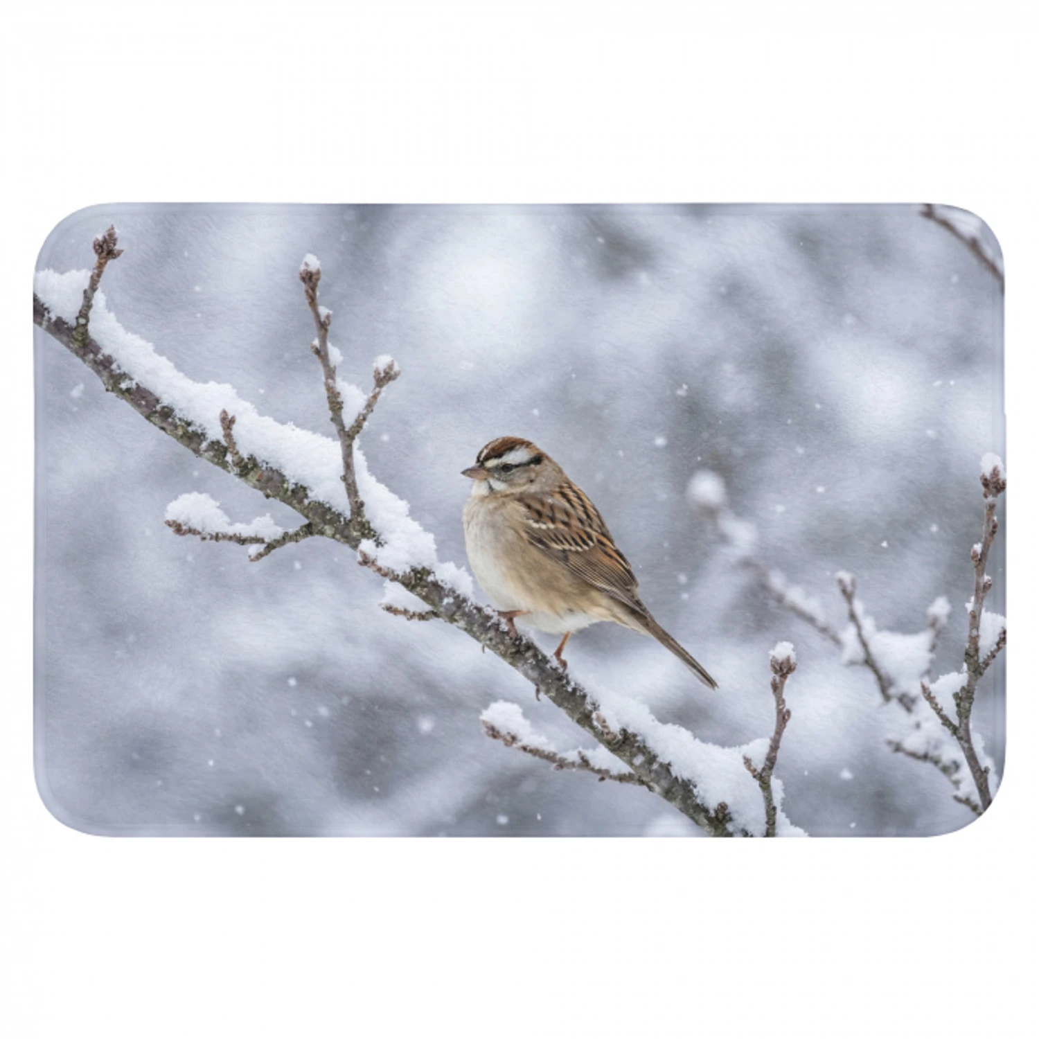 Vogel - Tak - Sneeuw - Winter Badmat klein -3d