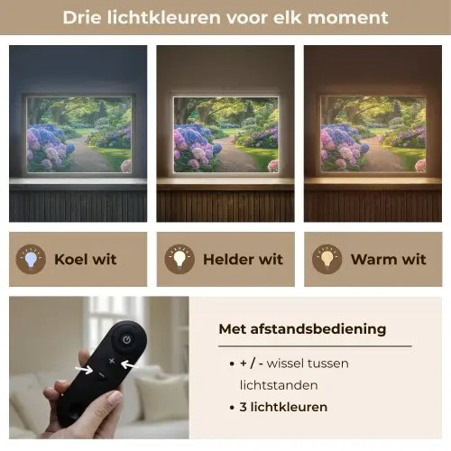 Hortensia- Park - Pad Light Box met batterij (Wandlamp) middel -USP_lichtkleurNL