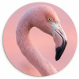 Flamingo - Portret - Roze Wandcirkel kunststof plaat 5mm dik klein -3d