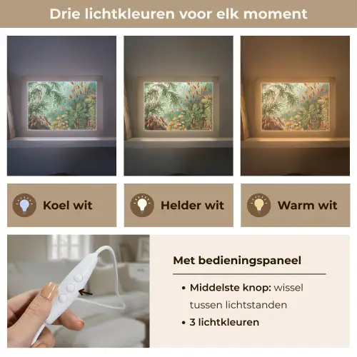 Oude meesters - Kunst - Muscinae - Haeckel Light Box met kabel (Tafellamp) klein -USP_lichtkleurNL