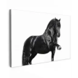 Fries - Hengst - Modern Tuinposter op houten frame 2 cm dik klein -3d