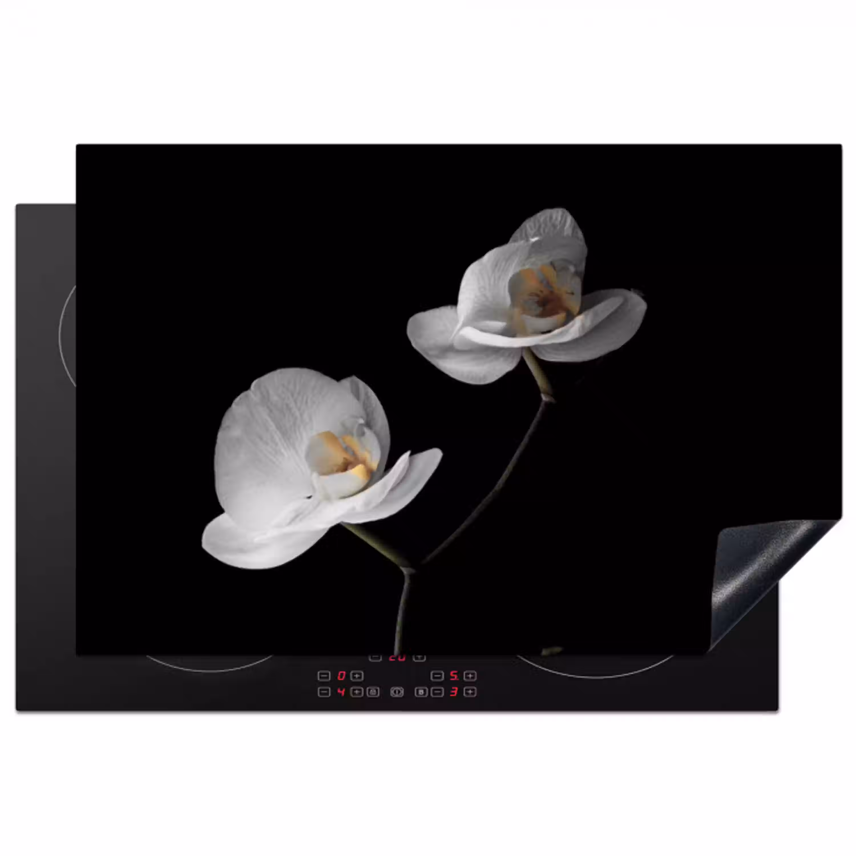 Nachtelijke Orchidee Elegance Inductie beschermer vinyl 3mm klein -3d