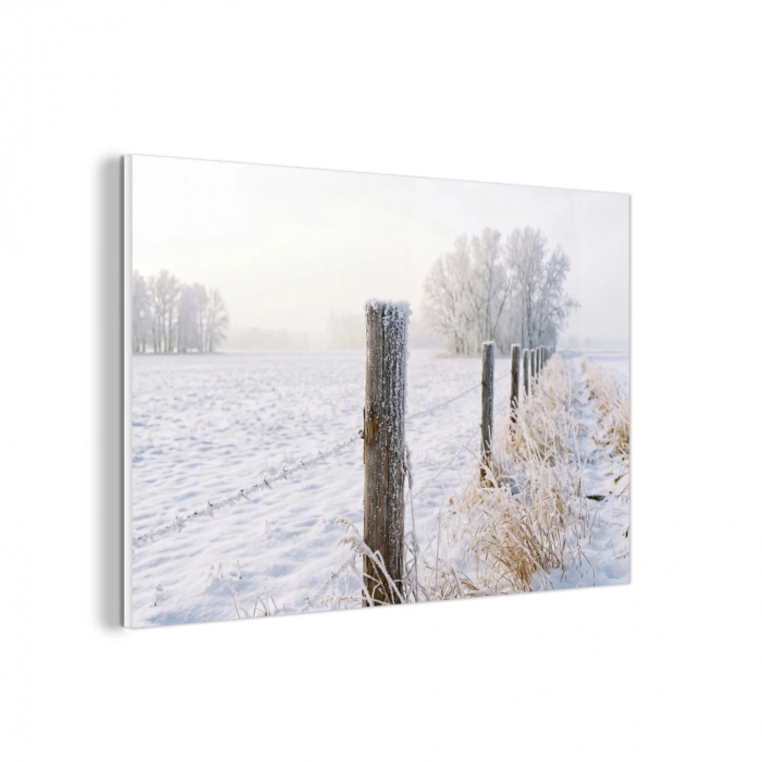 Hek - Sneeuw - Mist - Platteland - Nostalgisch forex 5mm xxl -3d