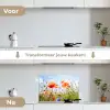 Bloemen - Klaproos - Lente - Natuur - Rood - Blauw keuken achterwand spatscherm klein -voor_na_NL