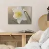 Narcis - Bloem - Minimalistisch PET vilt klein -sfeer3