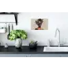 Vrouw - Zonnebril - Vlinder - Bloemen Muursticker klein -keuken