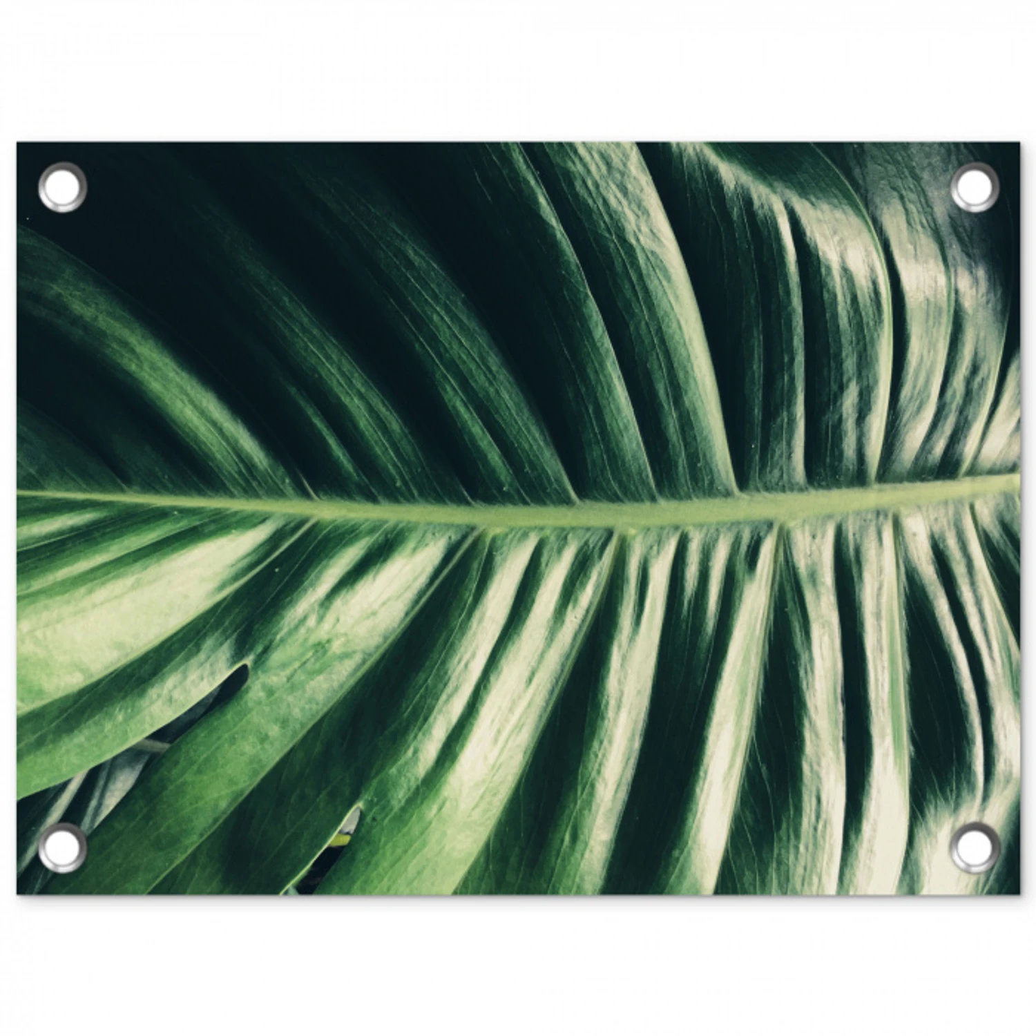 Tropisch - Inductie mat - Natuur - Inductie beschermer - Jungle tuinposter los doek klein -3d