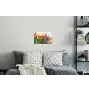 Tulpen - Roze - Zonnestralen Muursticker klein -slaapkamer