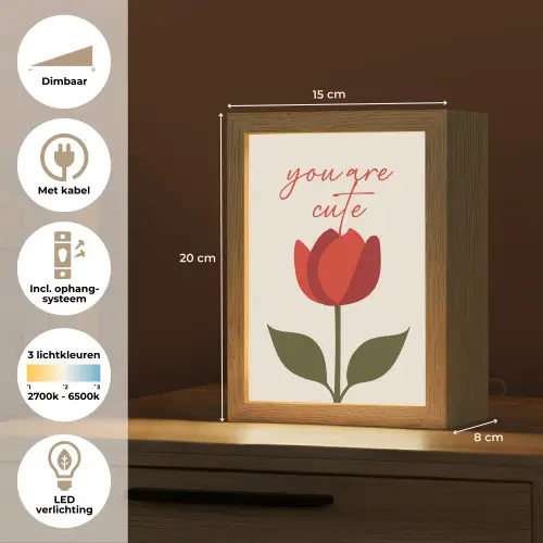 Roos - Rood - Bloem - Valentijn Light Box met kabel (Tafellamp) klein -USP_NL