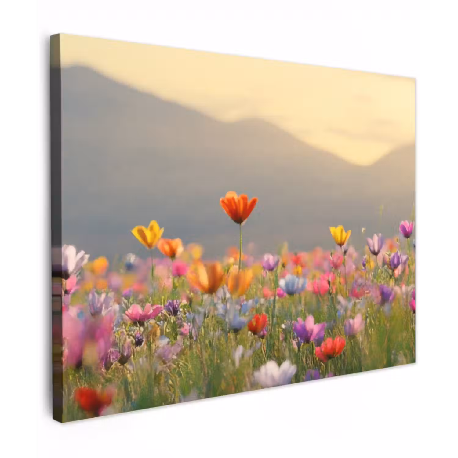 Canvas schilderij - Bloemenveld - Bergen - Zonlicht - Bloemen