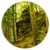 Bomen - Steen - Bos - Natuur - Planten Wandcirkel kunststof plaat 5mm dik klein -3d