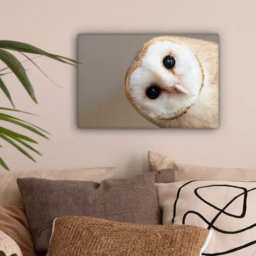 Uil - Bruin - Wit canvas 2cm klein -sfeer1