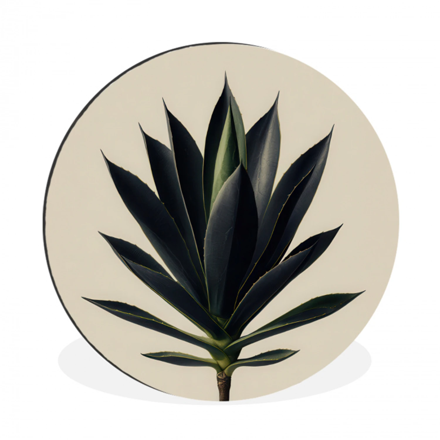 Agaveplant - Symmetrisch - Groen Wandcirkel aluminium klein -3d