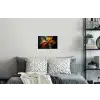 Specerijen - Explosie - Oranje Muursticker klein -slaapkamer
