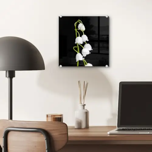 Lelietjes van dalen - Bloemen - Zwart - Flora plexiglas 5mm klein -sfeer6