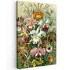 Planten - Natuur - Bloemen - Ernst Haeckel canvas 2cm klein -z3d
