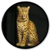 Panter - Realistisch - Bruin Fotolijst rond zonder passe partout klein -3d