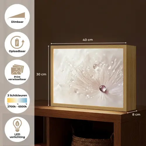 Bloem - Abstract - Wit - Water - Natuur Light Box met batterij (Wandlamp) middel -USP_websiteoverzichtNL