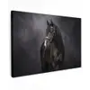 Portret - Paard - Zwart Tuinposter op houten frame 2 cm dik klein -3d
