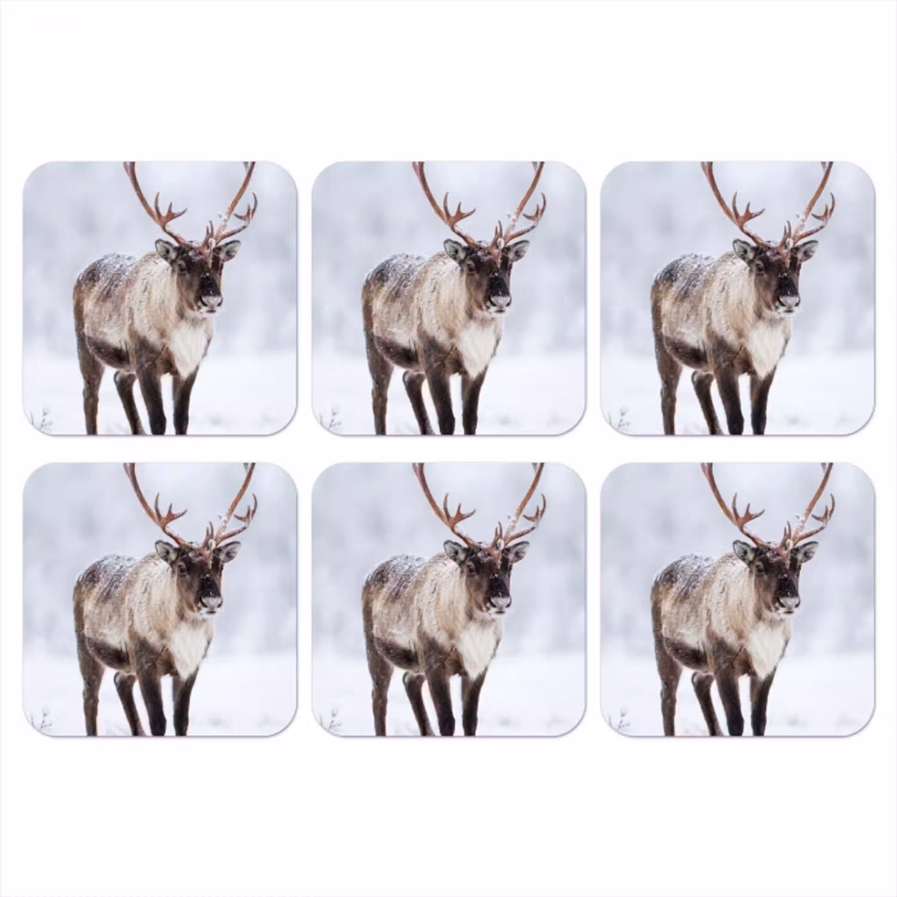 Rendier - Gewei - Toendra - Sneeuw - Wild onderzetter kurk middel -3d