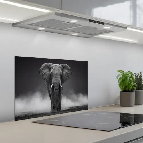 Olifant - Zwart - Wit - Rook keuken achterwand spatscherm klein -3d_schuin