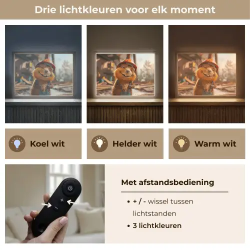 Bever - Bouw - Bouwhelm - Dier Light Box met batterij (Wandlamp kind) middel -USP_lichtkleurNL