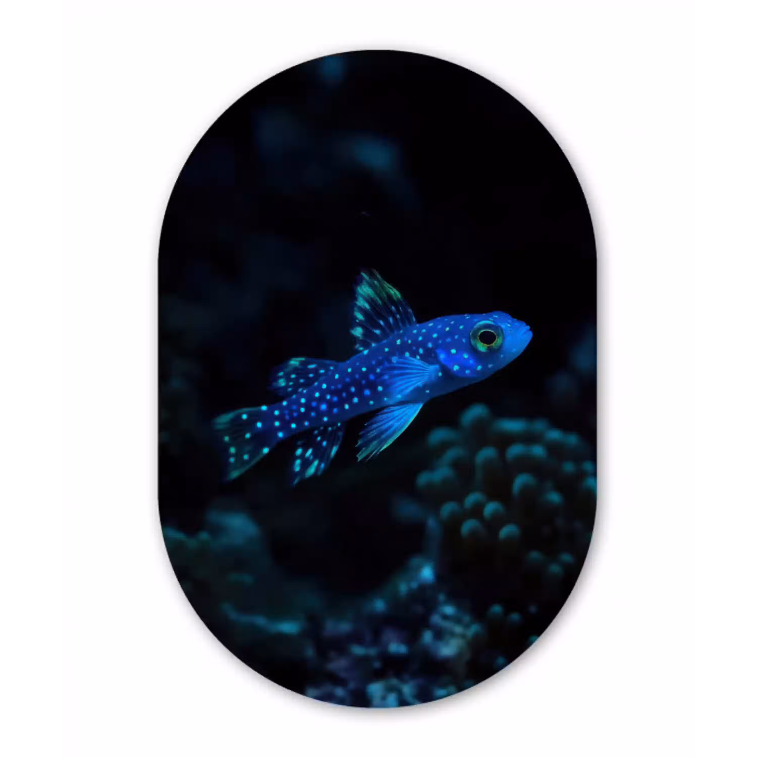 Vis - Stippen - Koraal - Blauw Wandcirkel Ovaal Glas middel -3d