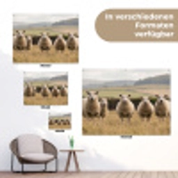 Schapen - Weidenlandschap - Heuvels tuinposter los doek klein -Xsfeer9_DE
