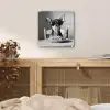 Chihuahua - Hond - Zonnebril - Humoristisch - Zwart - Wit - Spaghetti plexiglas 5mm klein -sfeer4