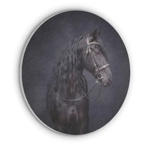 Portret - Paard - Donker Akoestische PET Vilt - Rond klein -3d