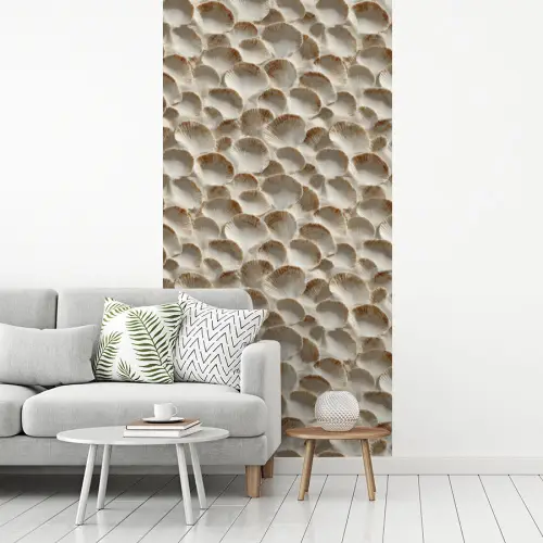 Schelpen - Waaiervorm - Wit fotobehang vinyl groot 64 -woonkamer