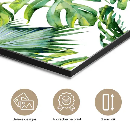 Monstera - Palmblad - Jungle - Tropisch aluminium wit klein -closeup_NL