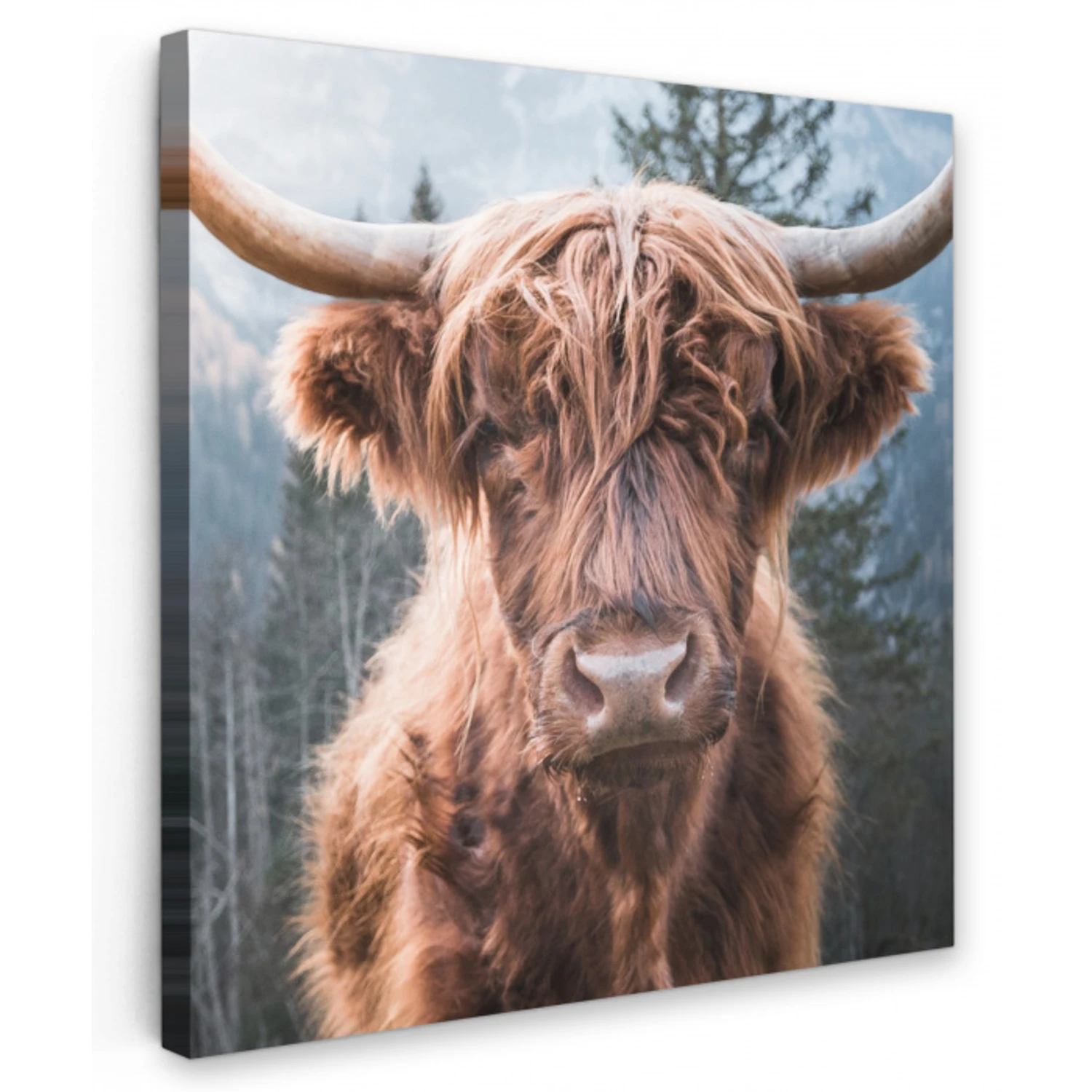 Imposante Hooglander in de Natuur Tuinposter op houten frame 2 cm dik middel -3d