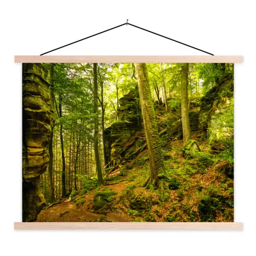 Bomen - Steen - Bos - Natuur textielposter latten blank klein -3d