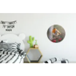 Roodborst - Tak - Bessen - Natuur Wandcirkel aluminium klein -kinderkamer