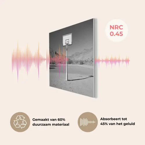 Basketbalpaal - Landschap - Zand - Wit PET vilt klein -USP_NL